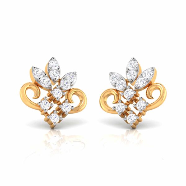 The Wow Factor Earring