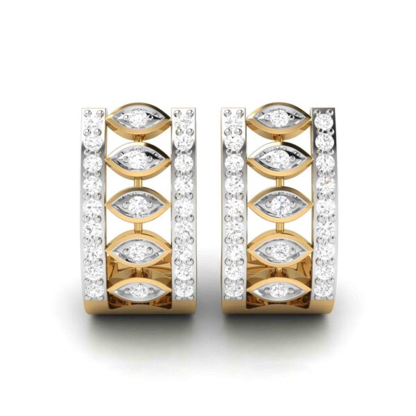 Luxurious Hoop Earrings